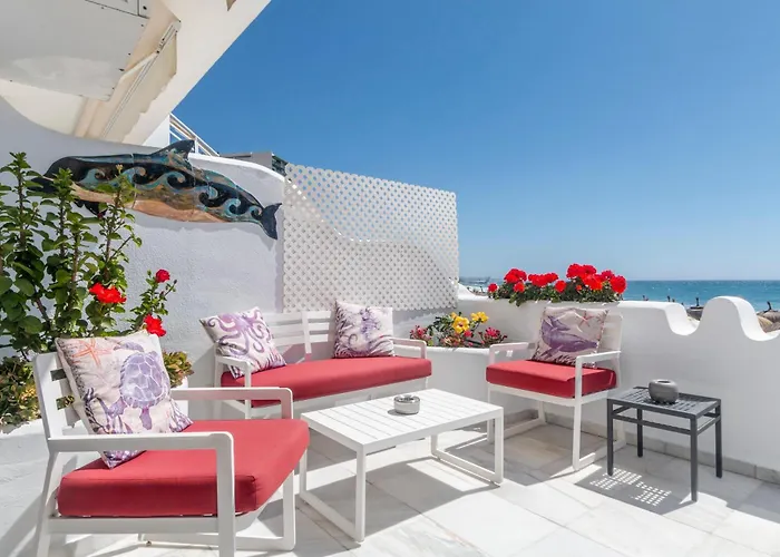 Superb Large On The アパート